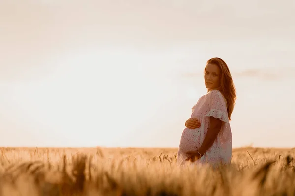 Jovem mulher grávida bonita olhando para o lado e tocando sua barriga no campo de trigo laranja em um dia ensolarado de verão. Natureza no campo. Esperança de milagres. Pôr do sol no isolamento. Espaço de cópia — Fotografia de Stock