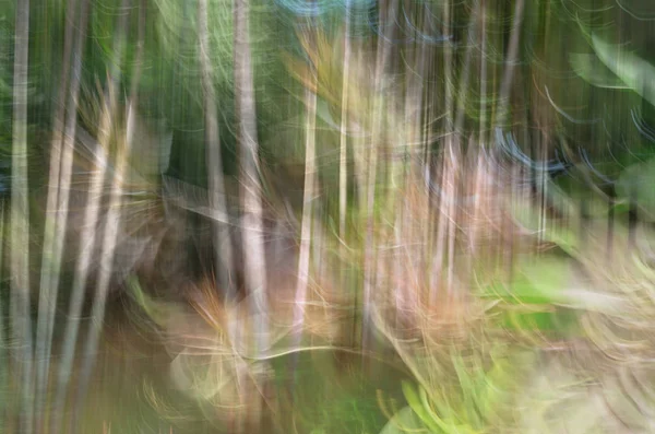 Motion blur elvont, virág & hagyja, sárga és zöld háttér — Stock Fotó