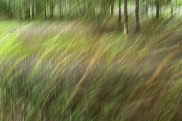 Sfocatura del movimento astratto, tronco e foglie degli alberi, backgrou verde giallo — Foto Stock