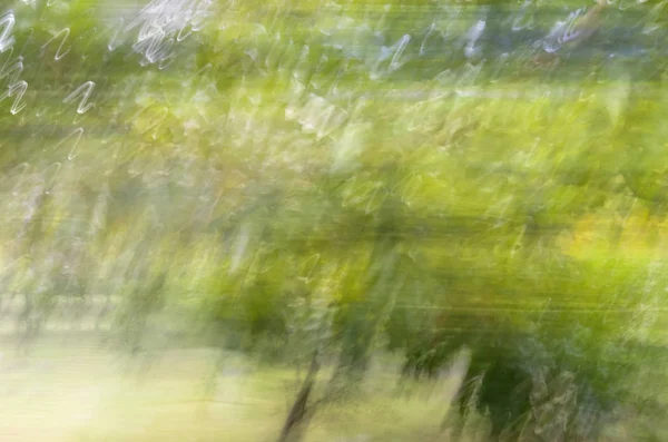 Borrão de movimento abstrato, tronco de árvores & licença, backgrou verde amarelo — Fotografia de Stock