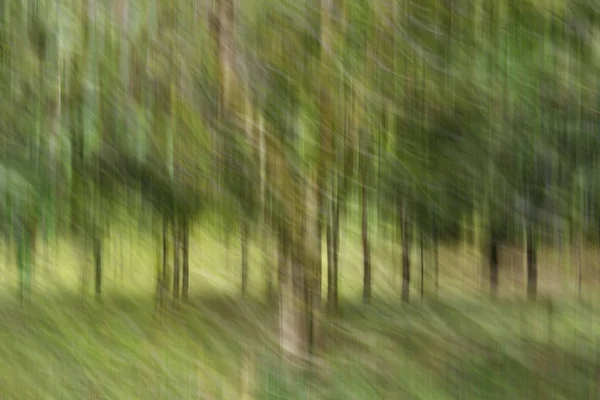 Sfocatura del movimento astratto, tronco e foglie degli alberi, backgrou verde giallo — Foto Stock