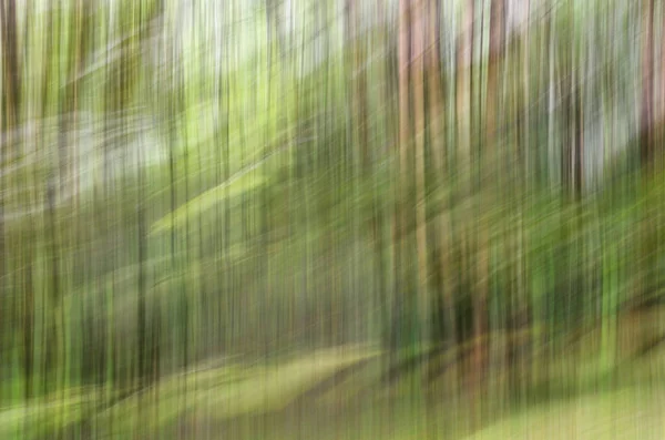 Borrão de movimento abstrato, tronco de árvores & licença, backgrou verde amarelo — Fotografia de Stock