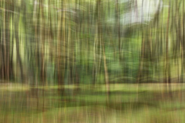 Absztrakt motion blur, fák törzse & a szabadság, a sárga zöld háttérb — Stock Fotó