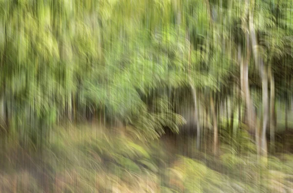 Abstract motion blur, trees trunk & leave, yellow green backgrou — Stock Photo, Image