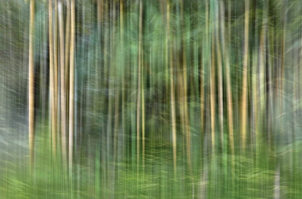 Borrão de movimento abstrato, tronco de árvores & licença, backgrou verde amarelo — Fotografia de Stock