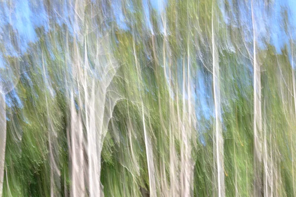 Borrão de movimento abstrato, tronco de árvores & licença, backgrou verde amarelo — Fotografia de Stock