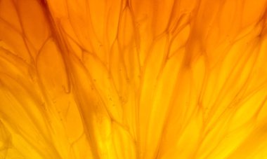 Arka plan Portakal dilim yakın çekim