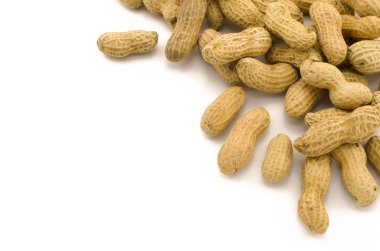 Beyaz arka plan üzerinde izole fıstık closeup,