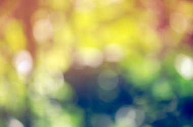 Renkli doğa orman ya orman soyut bulanıklık için tasarım backgr