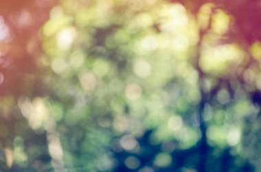 Renkli doğa orman ya orman soyut bulanıklık için tasarım backgr