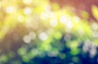 Renkli doğa orman ya orman soyut bulanıklık için tasarım backgr