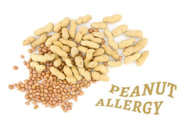 Fıstık veya yer fıstığı gıda Anti sağlık kavramı, görünümden tepe ı