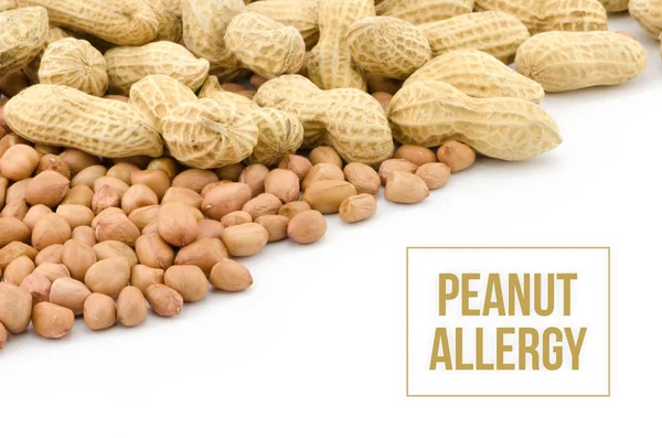 Peanut or groundnut food allergy health concept, isolated on whi