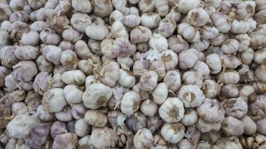 Sarımsak yığını, beyaz renk ile birlikte gelir.