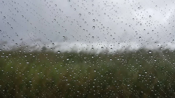 Gocce di pioggia & giorno di pioggia, sfondo sfocato . — Foto Stock