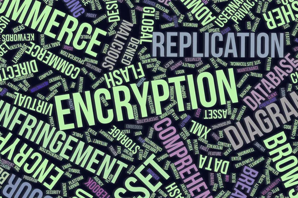 Encryption, conceptual word cloud for business, information tech