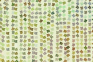 Çiçek çizimleri. Satır, kroki, çizim ve kapak.