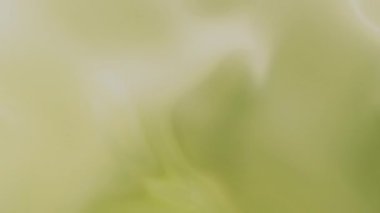 Hareket soyut, renkli ve pürüzsüz sonsuzluk veya kesintisiz döngü. Video başlığı, metin arka planı veya çekim geçişleri için iyi.