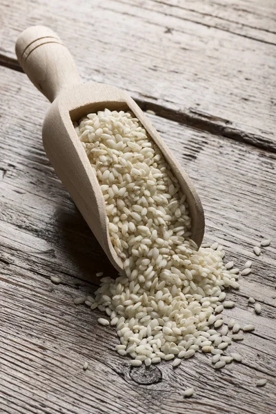 Rijst in primeur — Stockfoto