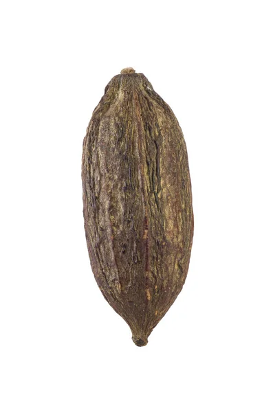 Cacao pod op wit — Stockfoto