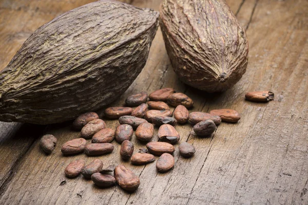 Cacao pod en bonen — Stockfoto