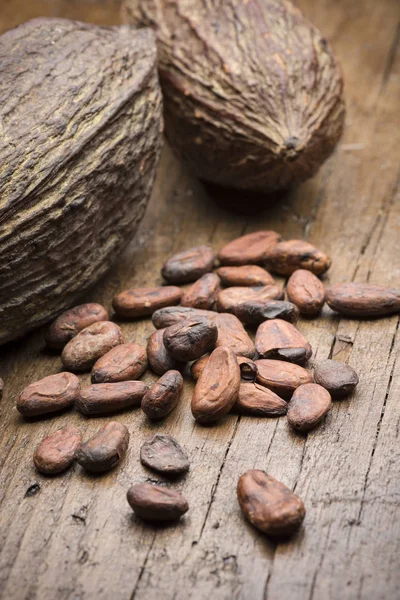 Cacao pod en bonen — Stockfoto