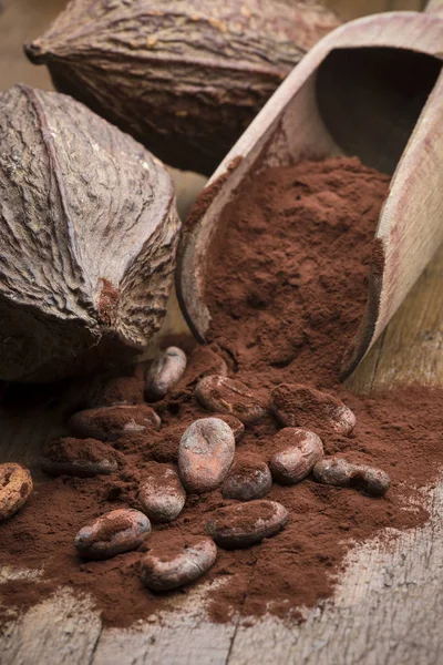 Cacaopoeder en bonen — Stockfoto