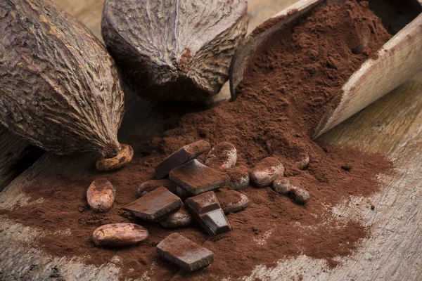 Cacao et bloc de chocolat — Photo