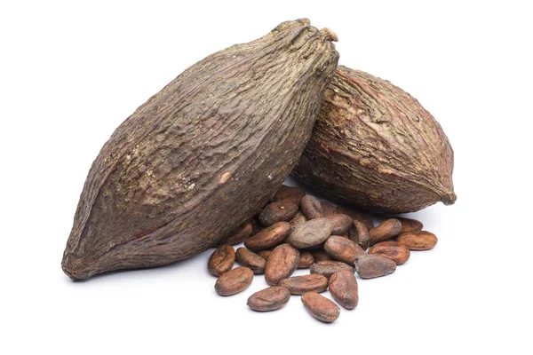 Какао-стручок і квасоля — стокове фото