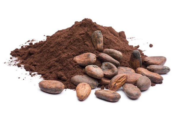 Cacaopoeder en bonen — Stockfoto