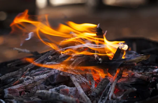 Burning Fire Wood — Stock Photo, Image