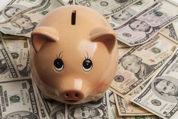 Sparschwein Auf Dollar Und Taschenrechner Isoliert Auf Weißem Hintergrund — Stockfoto