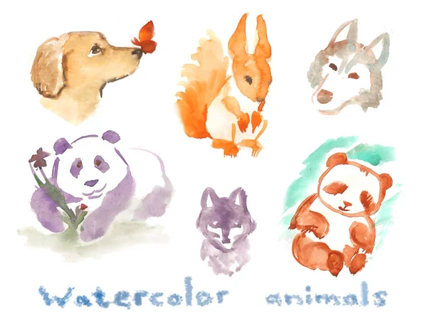 Watercolor animals  stickers — Stock Photo, Image