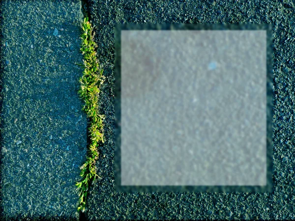 Blue asphalt and strip of greenery — Stock Photo, Image