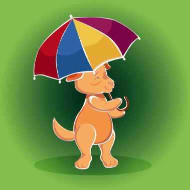  Yağmur ve güneş şemsiyesi altında - kurtarmak köpek