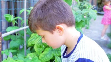 Küçük çocuk eldiven ile Bahçe