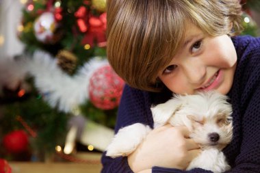 küçük yavru köpek Noel ağacı closeup önünde gülümseyen tutan çocuk