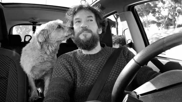 开车时狗在车里亲吻男人 — 图库照片