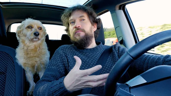 快乐的人驾驶与狗在车里 — 图库照片