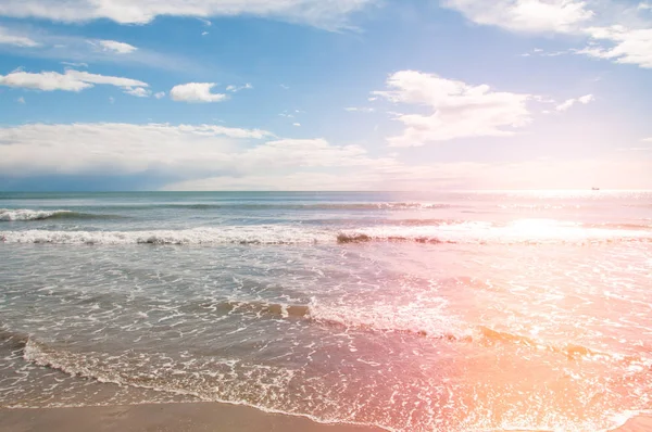 güzel bir plaj ve okyanus