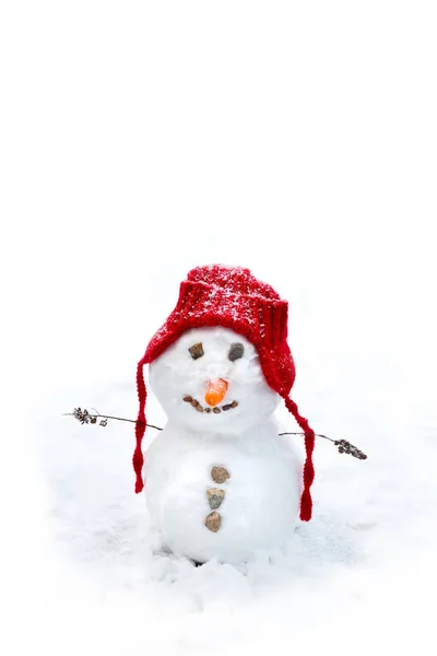 Small baby snowman — Stock Photo, Image