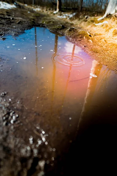 Des gouttelettes de pluie et des ondulations dans une flaque au printemps — Photo