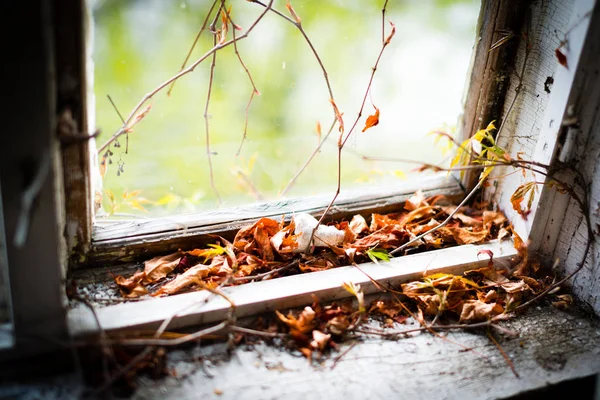 Övergivna hem med gamla löv i fönsterkarmen — Stockfoto