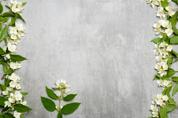 Jasmine flowers on gray concrete background — Stock Photo, Image