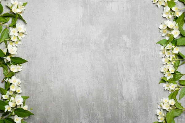 Jasmijn bloemen op grijze concrete achtergrond — Stockfoto