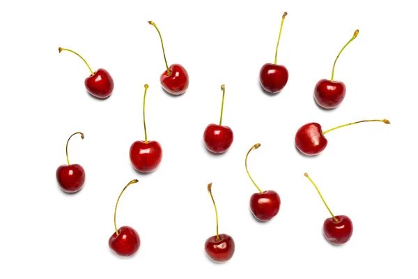 Солодкі дикі червоні вишні на білому тлі — стокове фото