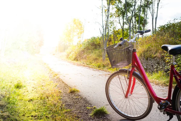 Bicicleta retro roja en un carril bici con luz solar —  Fotos de Stock