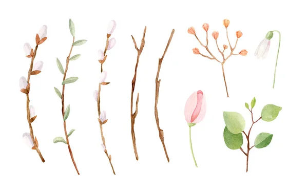 Watercolor spring illustration - willow branches — Stock Photo, Image