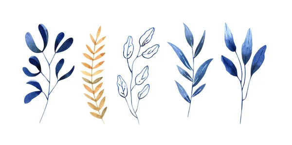 Hand painted watercolor illustration - classic blue and gold leaves — Stock Fotó