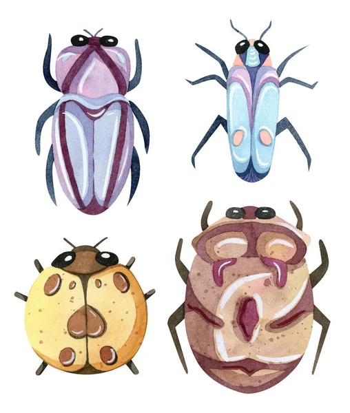 Aquarelle peinte à la main coléoptères dessin animé. Insectes et insectes drôles colorés et mignons . — Photo